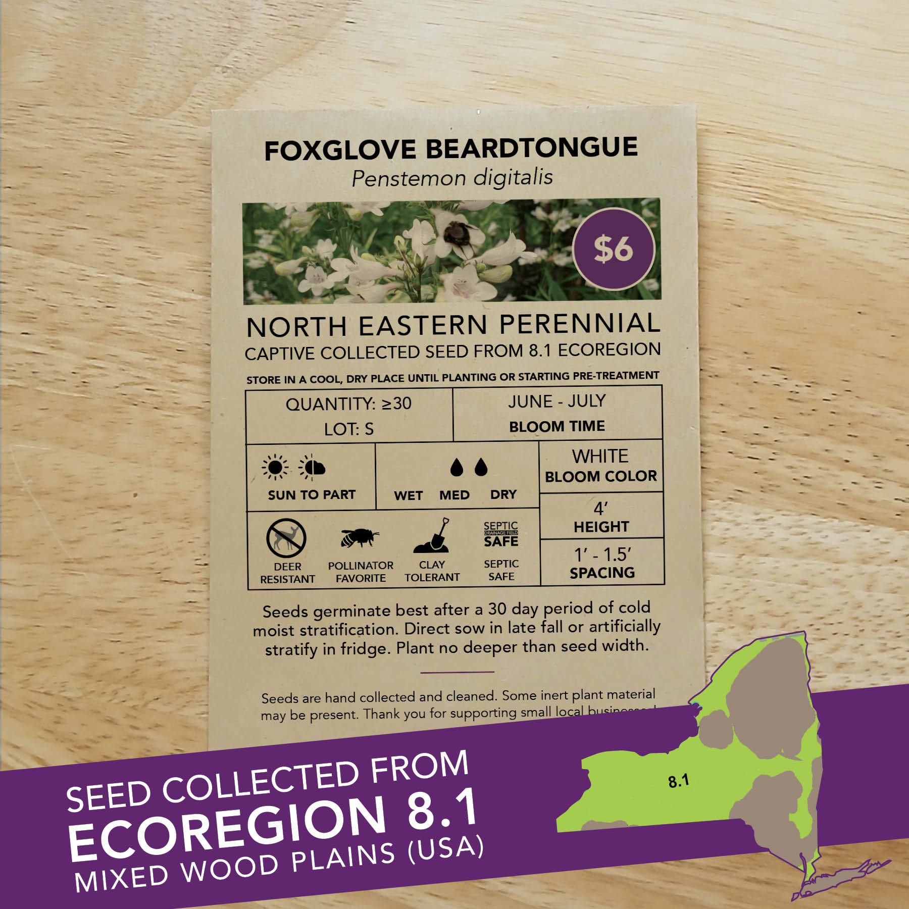 Foxglove Beardtongue (Penstemon digitalis) Seed Packet - Ecoregion 8.1 - Image 2