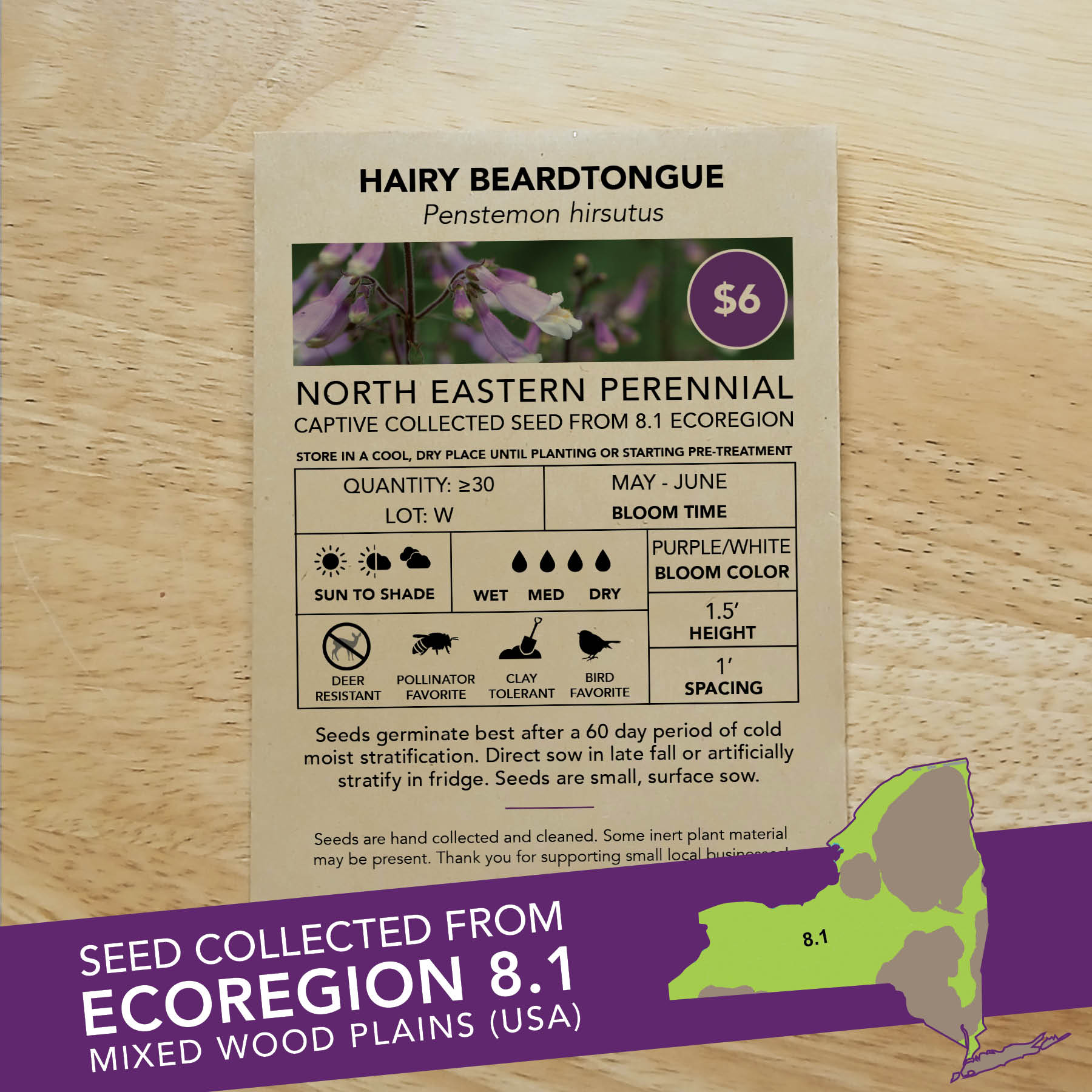Hairy Beardtongue (Penstemon hirsutus) Seed Packet - Ecoregion 8.1 - Image 2