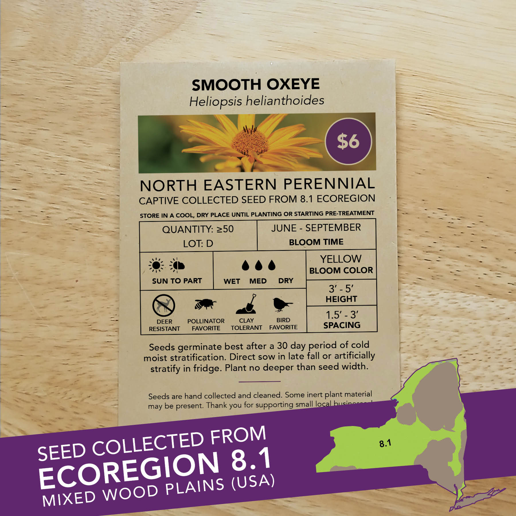 Smooth Oxeye (Heliopsis helianthoides) Seed Packet - Ecoregion 8.1 - Image 2