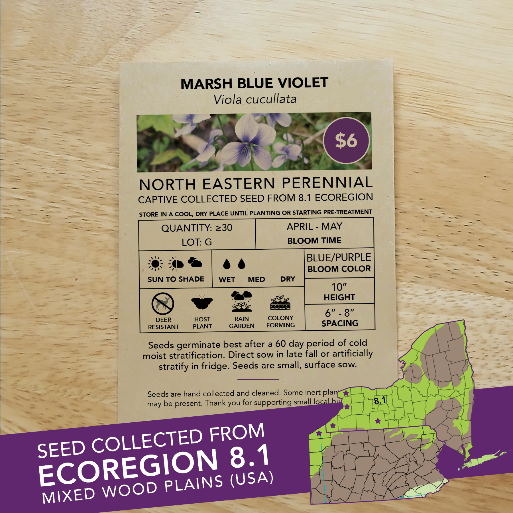 Marsh Blue Violet (Viola cucullata) Seed Packet – Ecoregion 8.1 - Image 2